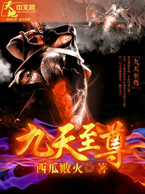 九天全本免费小说截图
