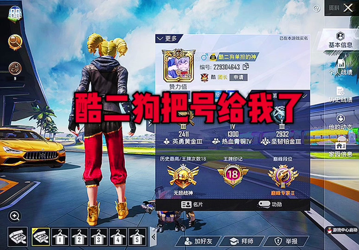 酷二狗和平精英同款美化包截图
