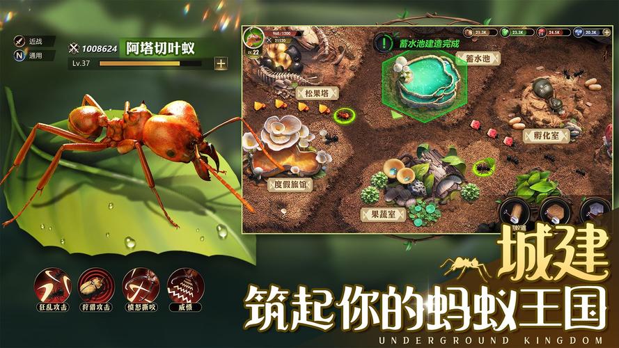 小小蚁国辅助器v1.12截图