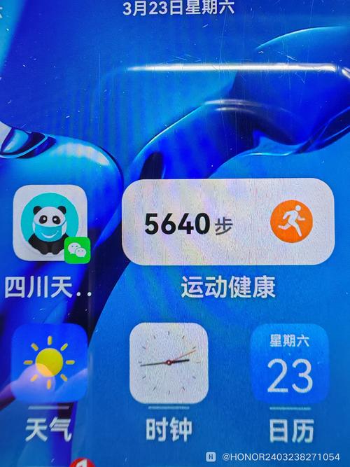 荣耀步数赚金版游戏截图