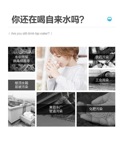 白开水4.1国体直装2.4.4截图