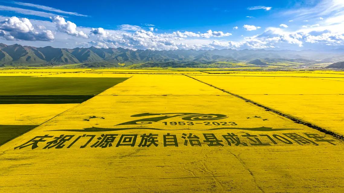 大美门源截图