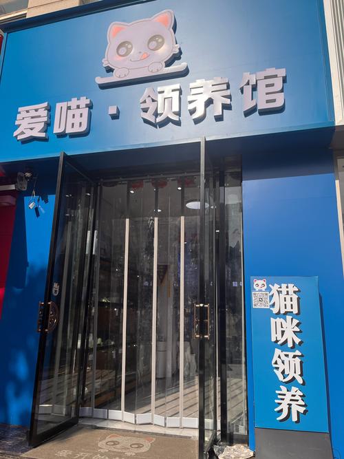 无忧小院养猫红包版图标