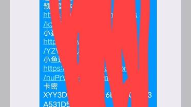 地铁逃生白开水1.7国体直装截图