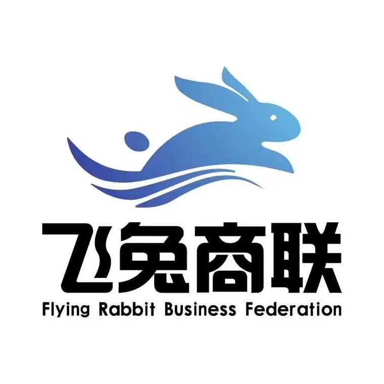 飞兔加速器截图