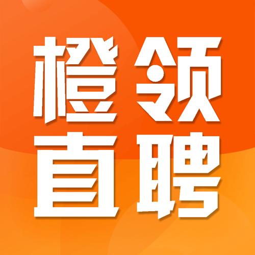橙领直聘加速永久截图