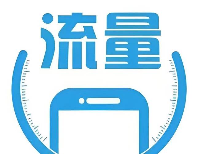 51流量神器挂机截图