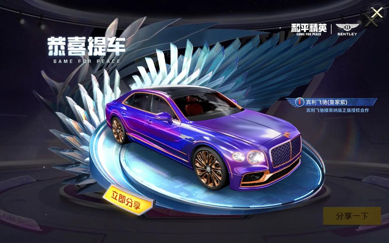 和平精英宾利辅助提卡截图