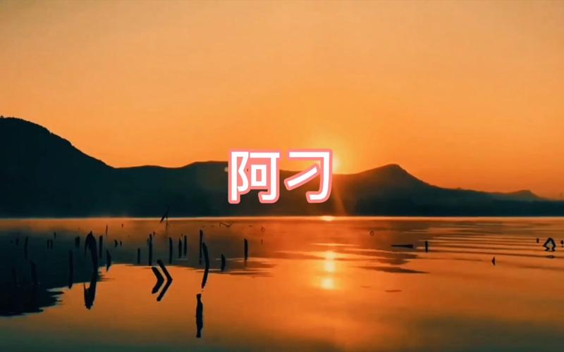 阿刁视频截图