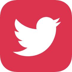 喜鹊短视频红包版APP