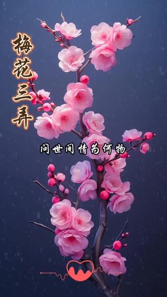 梅花视频旧版一天能看三个截图