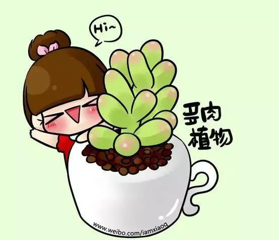 多肉漫画截图