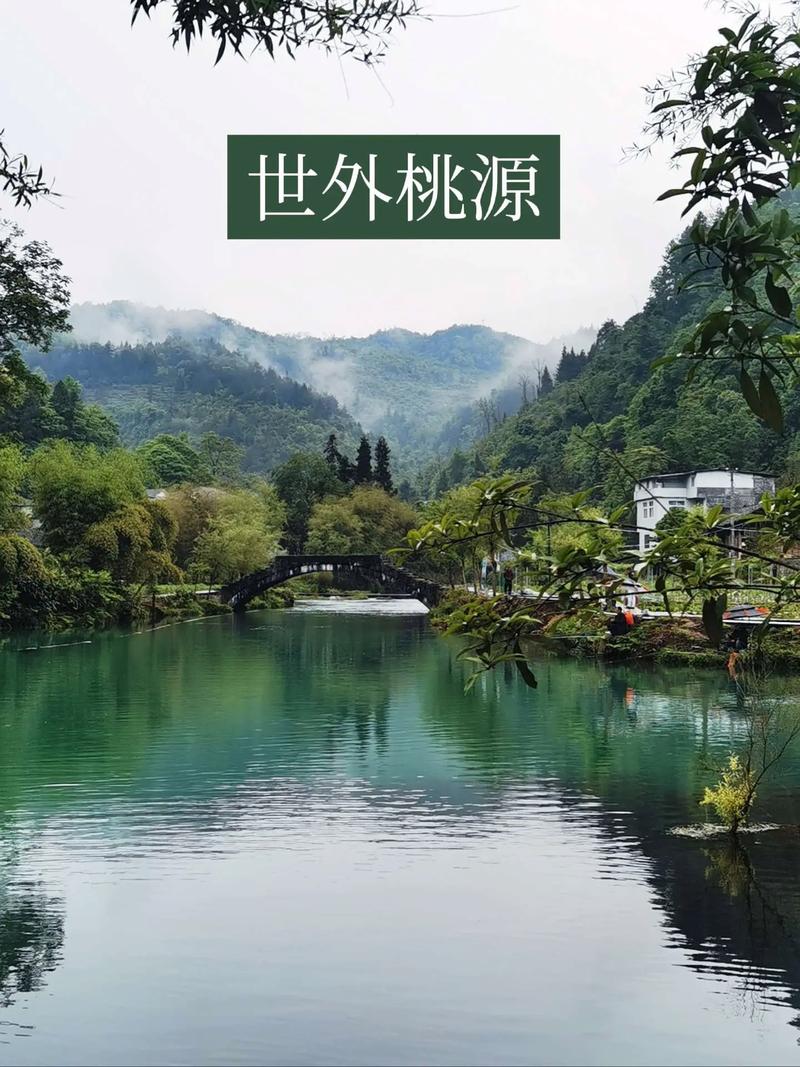 世外桃源安卓手机版截图