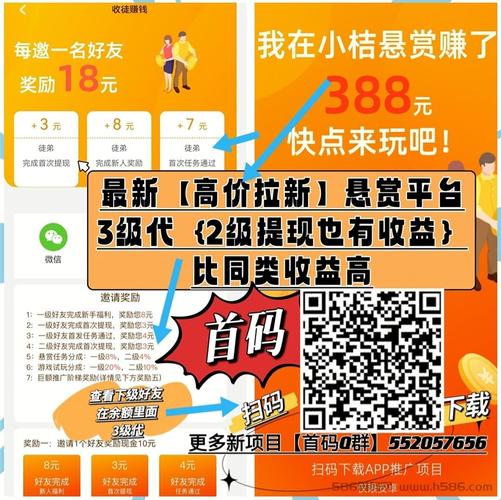 小桔悬赏赚钱版v1.0截图