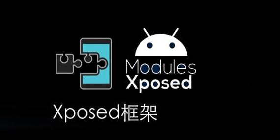 算法助手 xposed截图
