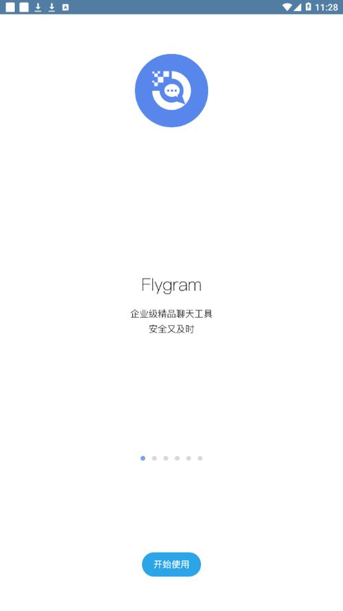 flygram中文版截图