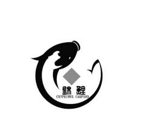 锦鲤充电截图