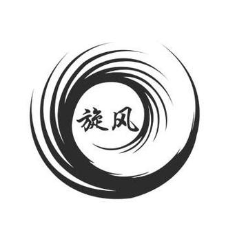 旋风截图