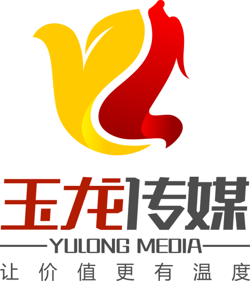 玉龙传媒截图