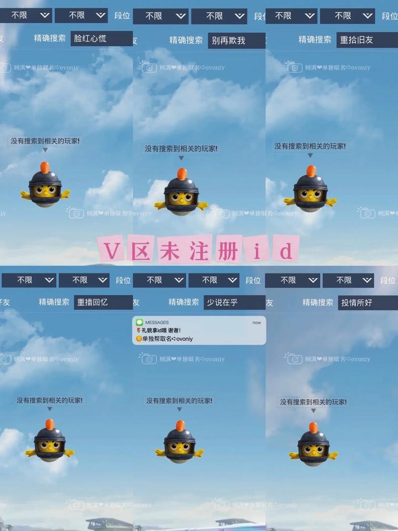 和平精英超长名字修改器截图