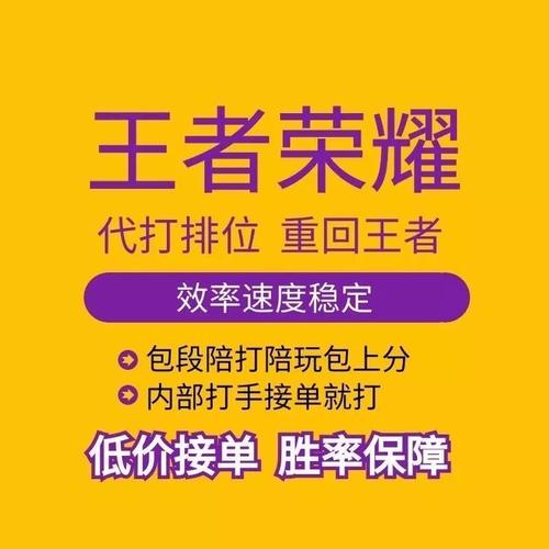 王者代练接单平台截图