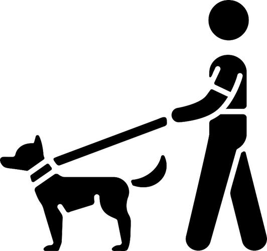 代遛狗截图