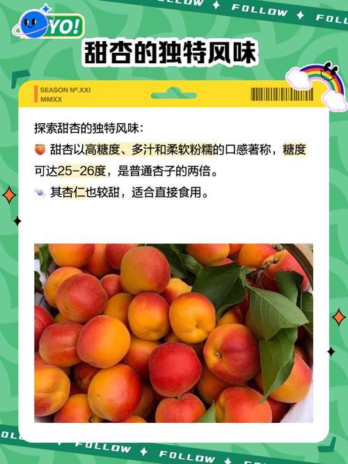 甜杏视频截图
