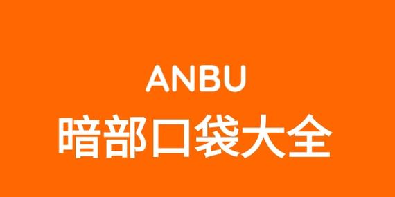 暗部口袋官网版新春版截图