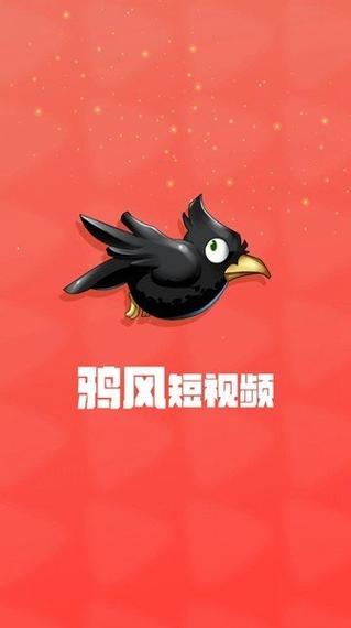 鸦风短视频赚钱v1.0图标