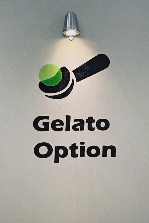 gelbooru站截图