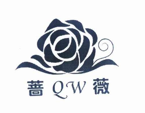 蔷薇视频兑换码截图