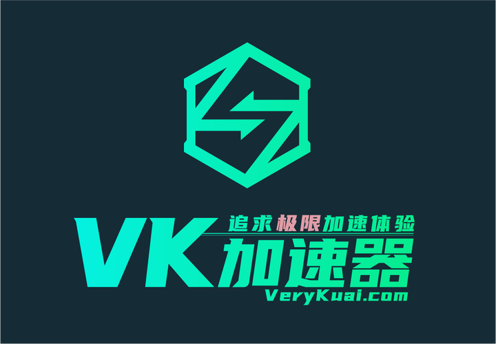 vk加速器安卓版截图
