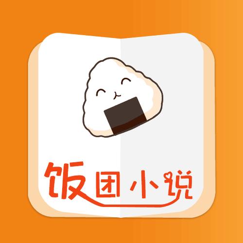 饭团小说截图