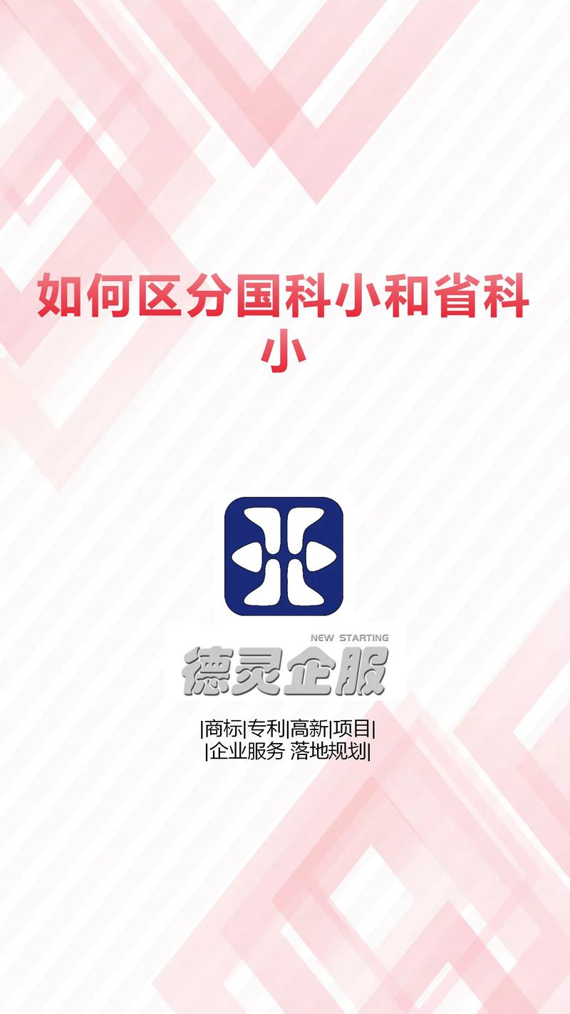 小科科视频游戏截图