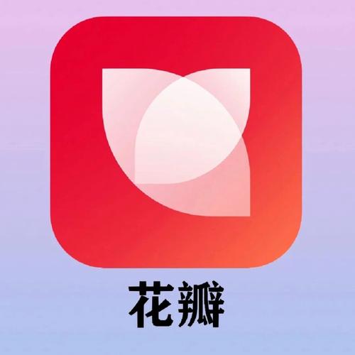 花瓣聊天赚钱平台截图
