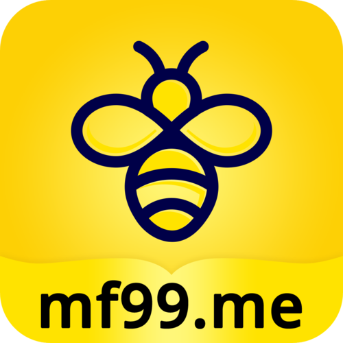 蜜蜂加速器安卓官方版截图
