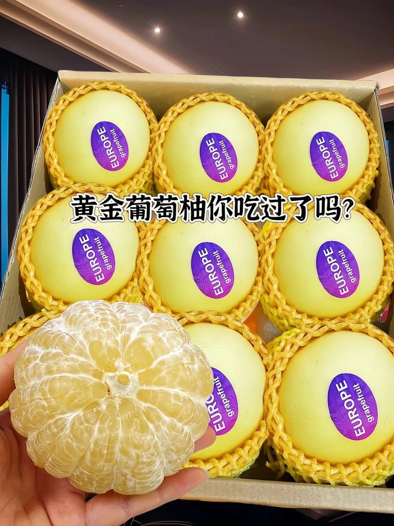 葡柚短视频v1.0.0缩略图