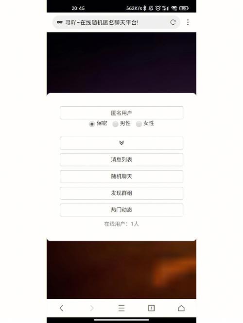 匿名聊天deskry官网版截图