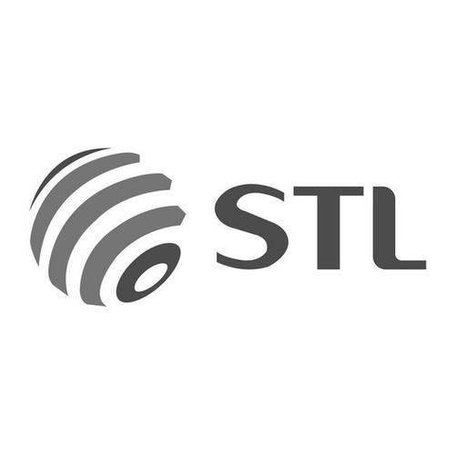 STL截图