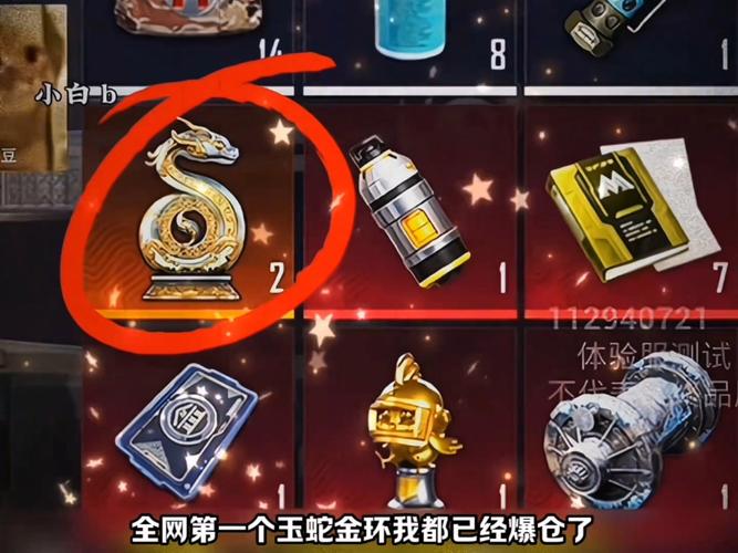 毒蛇4.5辅助器和平精英截图