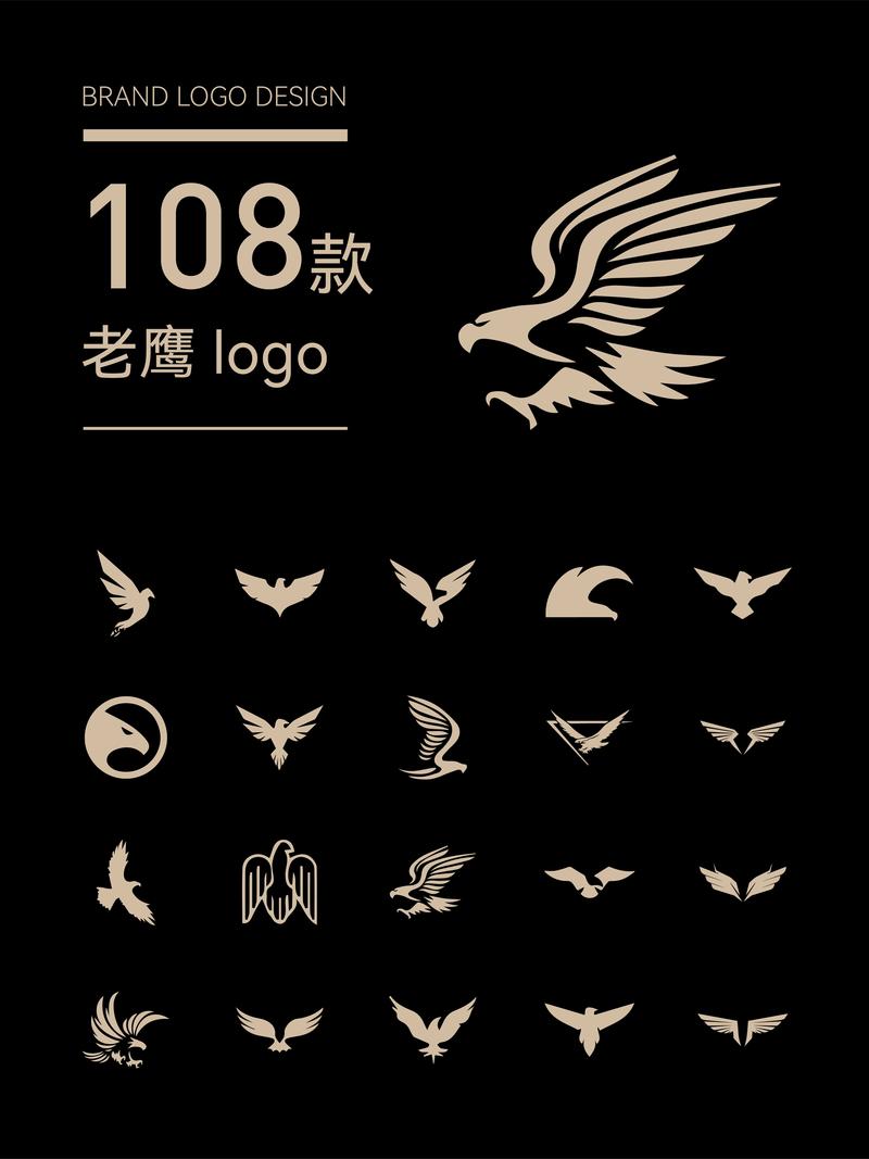 老鹰短视频截图