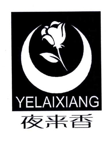 夜来香最新版截图