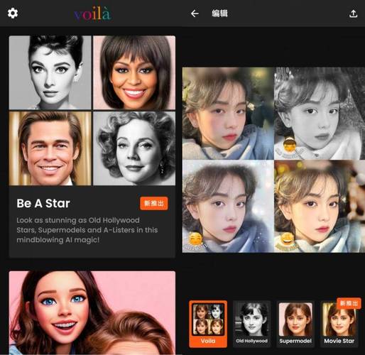 VOILA AI ARTIST截图