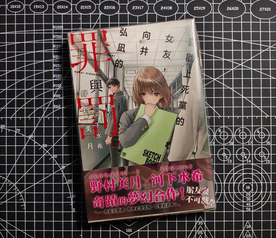 日本原版轻小说截图