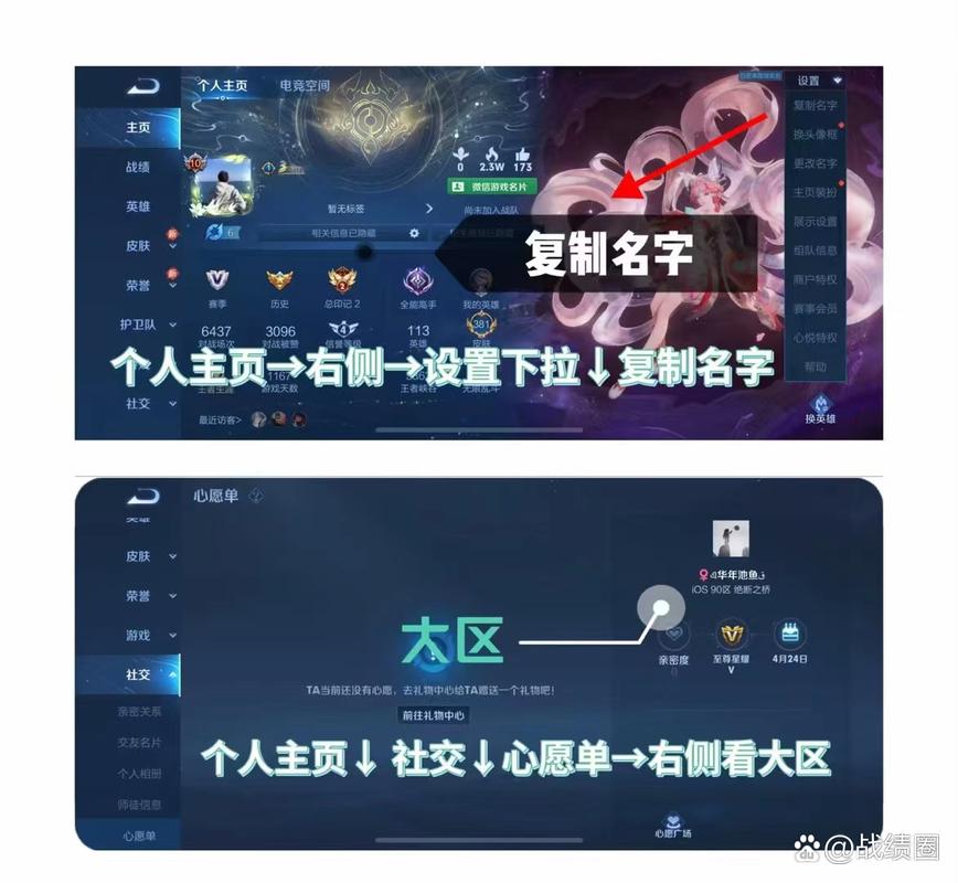 王者荣耀隐藏战绩查询助手”图标