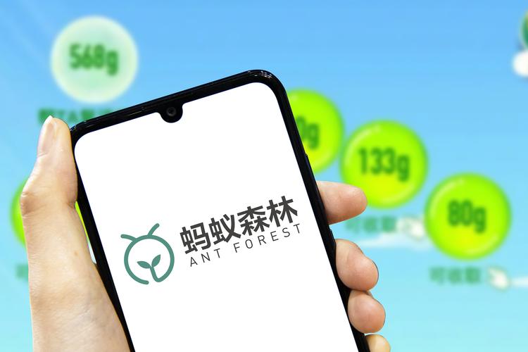 蚂蚁种树赚钱app首码是什么截图