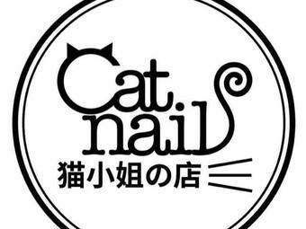 猫小姐截图