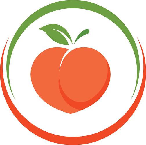 乡村生活桃子移植截图