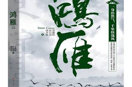 鸿雁免费小说截图