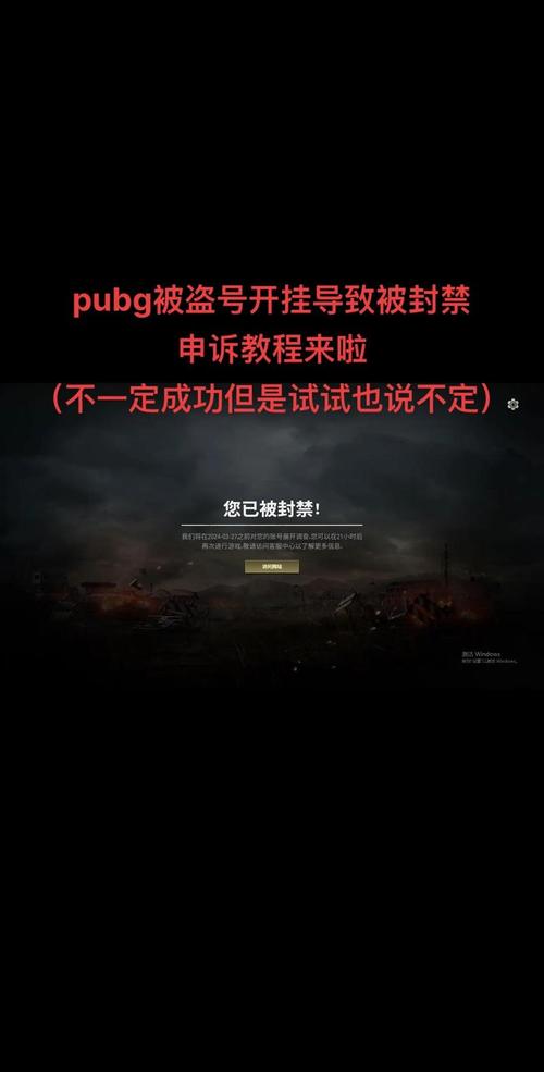 pubg直装挂无需卡密免费阅读页面无弹窗截图